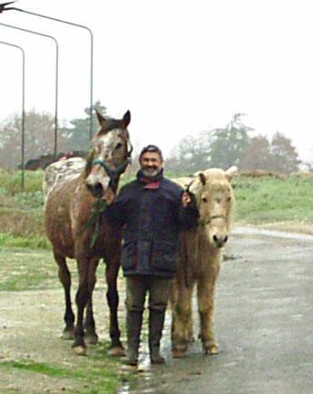 Cliquez sur l'image pour l'agrandir